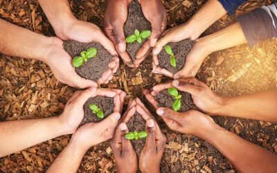 Transforming Lives in Haiti: How the Garden Hope Project Fights Hunger and Poverty