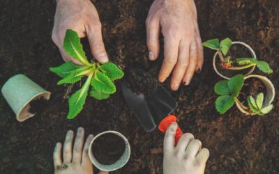 Planting Seeds of Change: Supporting Sustainable Solutions for Haiti’s Food Crisis