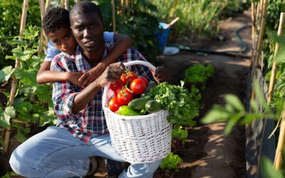 Growing Hope in Haiti: How Your Donation Can Help Families Overcome Poverty