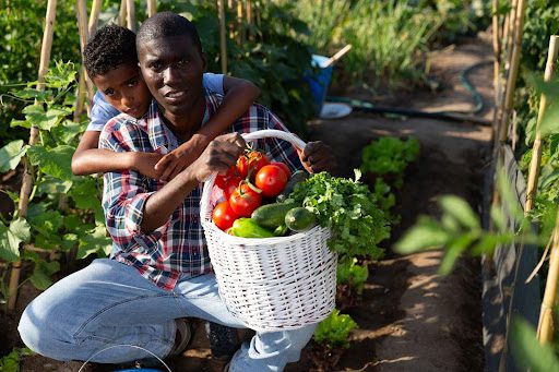 Growing Hope in Haiti: How Your Donation Can Help Families Overcome Poverty